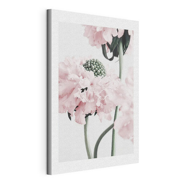 Fleurs délicates dans des tons pastel doux Tableaux Fleurs délicates dans des tons pastel doux