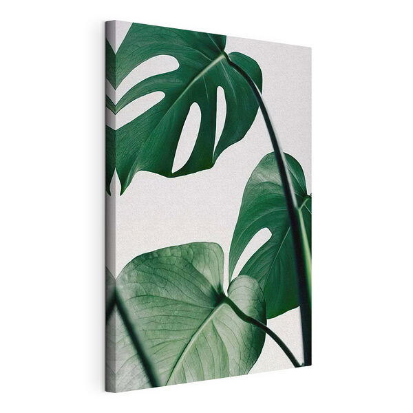 Feuilles luxuriantes sur fond clair Tableaux Feuilles luxuriantes sur fond clair