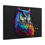 Tableaux Hibou coloré avec des éclaboussures de peinture