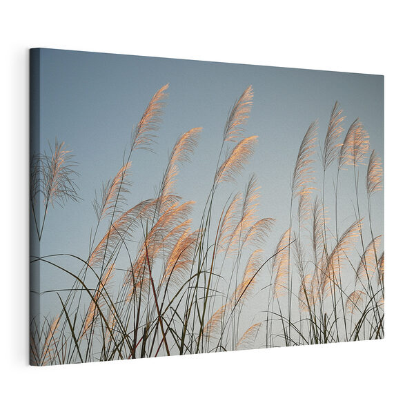 Groupe d'herbes hautes Tableaux Groupe d'herbes hautes