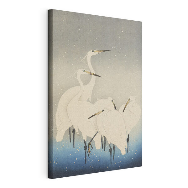 Tableaux Groupe d'oiseaux blancs à long bec