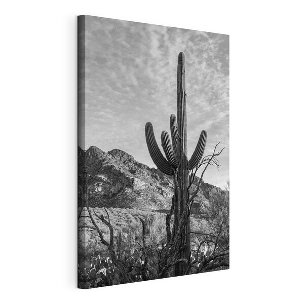 Tableaux Cactus dans le désert