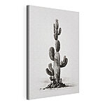 Tableaux Cactus sur fond blanc