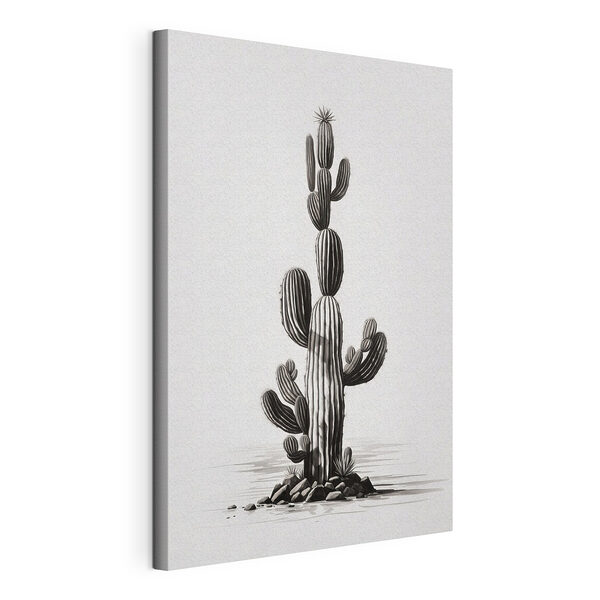 Cactus sur fond blanc Tableaux Cactus sur fond blanc