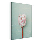 Tableaux Fleur de Protea sur fond bleu