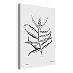 Tableaux Dessin en noir et blanc d'une plante