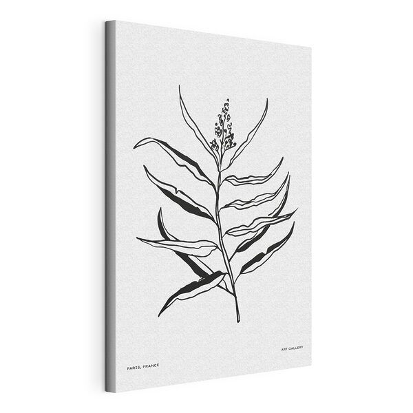Dessin en noir et blanc d'une plante Tableaux Dessin en noir et blanc d'une plante