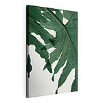 Tableaux Feuille avec des motifs de veines complexes