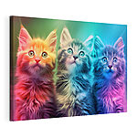 Tableaux Groupe de chatons regardant vers le haut