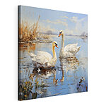 Tableaux Cygne blanc nageant dans l'eau