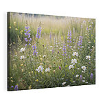 Tableaux Champ de fleurs