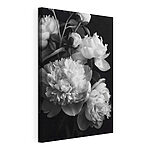 Tableaux Groupe de fleurs blanches