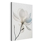 Tableaux Fleur blanche avec feuilles