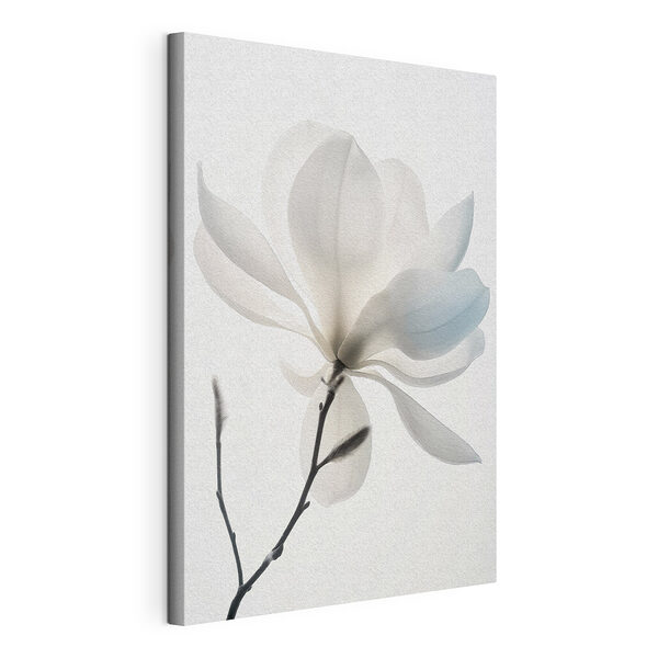 Fleur blanche avec feuilles Tableaux Fleur blanche avec feuilles