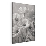 Tableaux Groupe de fleurs blanches