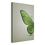 Tableaux Papillon vert avec ailes