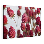 Tableaux Groupe de fleurs roses