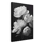 Tableaux Groupe de fleurs blanches
