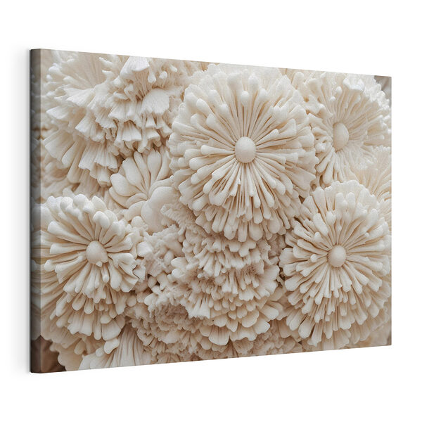 Tableaux Groupe de fleurs blanches