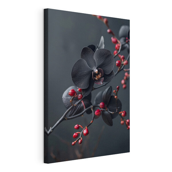 Tableaux Fleur noire avec baies rouges