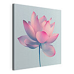 Tableaux Fleur rose et blanche