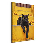Tableaux Chat noir couché sur un escalier