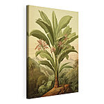Tableaux Grande plante avec des fleurs et des feuilles