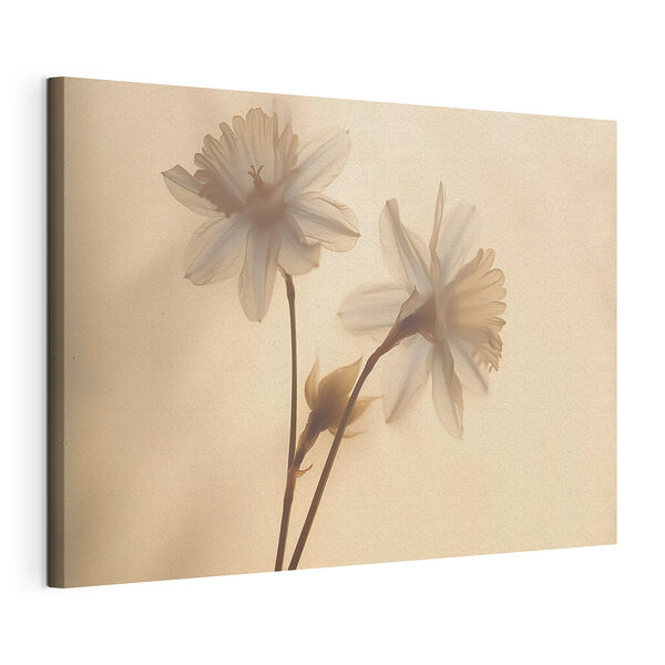 Des fleurs délicates baignées d'une douce lumière Tableaux Des fleurs délicates baignées d'une douce lumière
