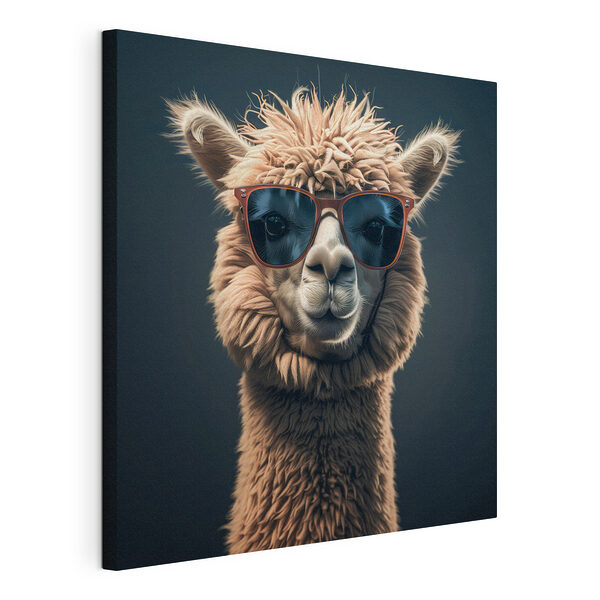 Tableaux Lama portant des lunettes de soleil