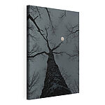 Tableaux Arbre avec la lune en arrière-plan