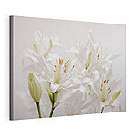 Tableaux Groupe de fleurs blanches