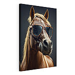 Tableaux Cheval portant des lunettes de soleil