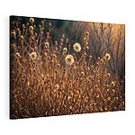 Tableaux Groupe de fleurs blanches sur des tiges brunes