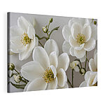 Tableaux Groupe de fleurs blanches