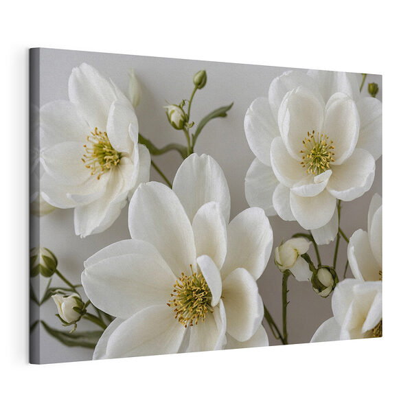 Groupe de fleurs blanches Tableaux Groupe de fleurs blanches