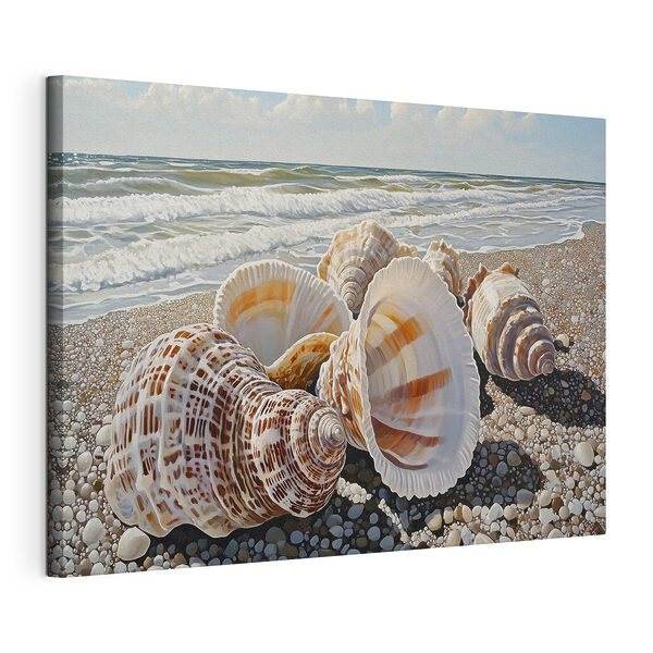 Tableaux Coquillages sur une plage