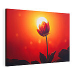 Tableaux Fleur rouge avec le soleil derrière elle