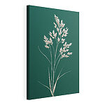 Tableaux Plante blanche avec des feuilles