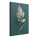 Tableaux Plante blanche aux longues feuilles