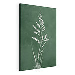 Tableaux Plante blanche aux longues tiges