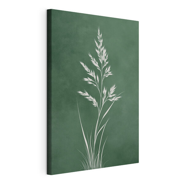 Plante blanche aux longues tiges Tableaux Plante blanche aux longues tiges