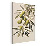 Tableaux Peinture représentant des olives vertes sur une branche