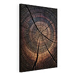 Tableaux Motifs naturels dans les cernes des arbres
