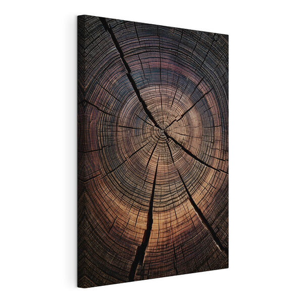 Motifs naturels dans les cernes des arbres Tableaux Motifs naturels dans les cernes des arbres