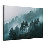 Tableaux Forêt brumeuse avec des arbres
