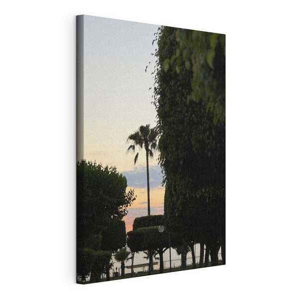 Tableaux Palmiers et arbustes
