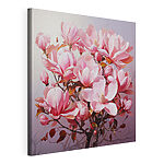 Tableaux Les fleurs roses du magnolia qui s'épanouissent au printemps