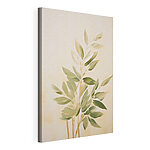Tableaux Peinture représentant une plante