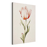 Tableaux Une tulipe délicate aux teintes douces