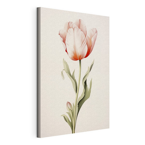 Tableaux Une tulipe délicate aux teintes douces